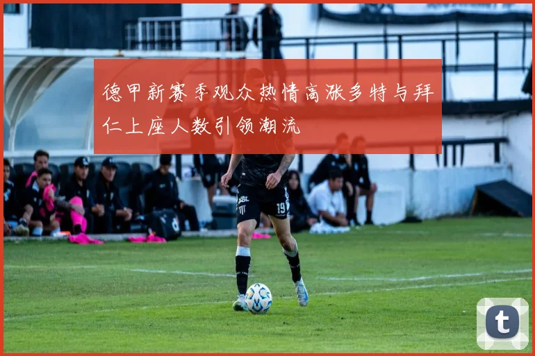 德甲新赛季观众热情高涨多特与拜仁上座人数引领潮流
