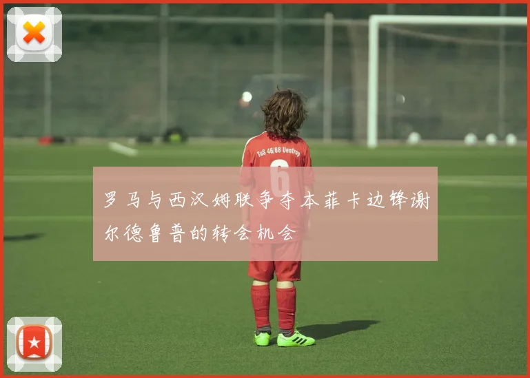 罗马与西汉姆联争夺本菲卡边锋谢尔德鲁普的转会机会