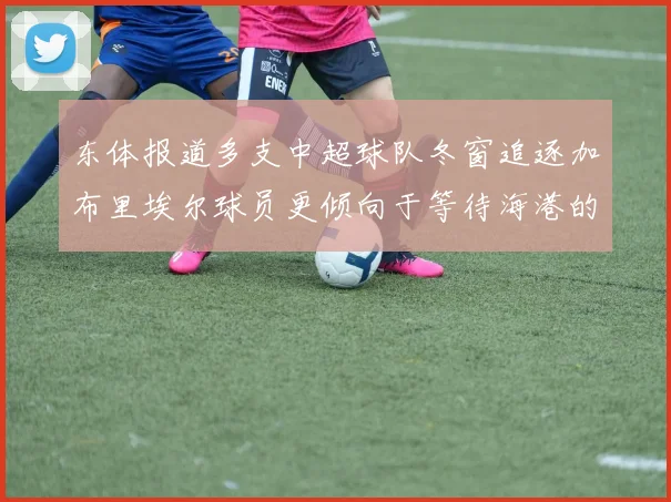 东体报道多支中超球队冬窗追逐加布里埃尔球员更倾向于等待海港的机会