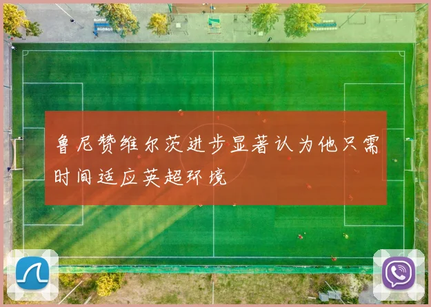 鲁尼赞维尔茨进步显著认为他只需时间适应英超环境